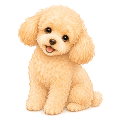 Fuwari-sha Toy Poodle Daily