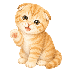 Fuwari-sya Scottish Daily Stickers
