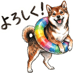 Goma Shiba Rainy Season & Summer
