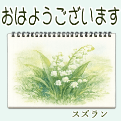 Flower Sketches & Gentle Words
