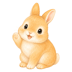 Fuwari-sha Netherland Dwarf Daily