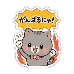 Fluffy & Sweet Tabby Cat