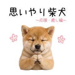 Compassionate Shiba Inu [Support ]