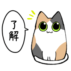 ZUNGURI Cats (1)