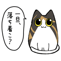 ZUNGURI Cats (2)