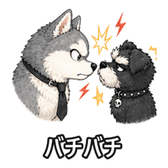 Cool Schnauzer & Boss Husky