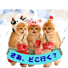 Kittens in Cow, Pig & Chicken Hats