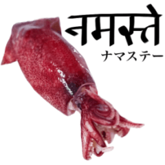 Flesh Baby squid 10