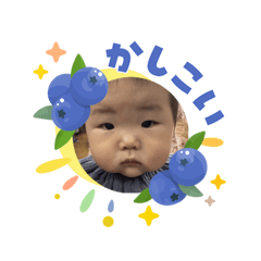 KAITO_20260603150837