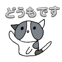 ririkawo_20260603152246