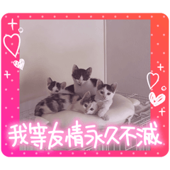 talktome_20260603151641