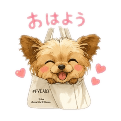 dog_20260603153011