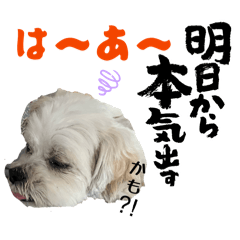 mamy_20260603154249