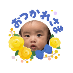 r_20260603160445