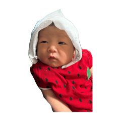 MRYMAO_20260603160949
