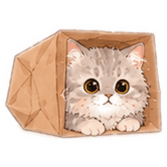 xiao_20260603161027