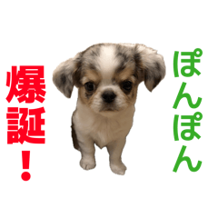 KOUCHI SHOUTA_20260603160956