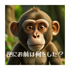 K_20260603161303