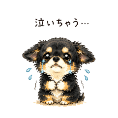 miii_20260603163925
