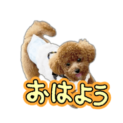 Sasuke_20260603165848