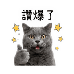 天使藍貓iCE厭世臉
