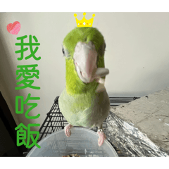 哇洗檸檬