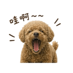 妮妮日常答覆