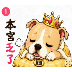 比特犬荳荳的公主日常