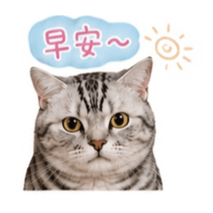 Codi打招呼貼圖