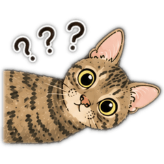 Rollie the cat ver.2