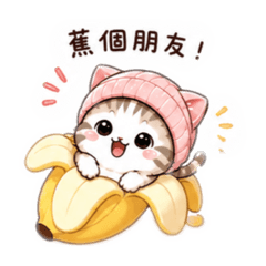 糯糯貓6