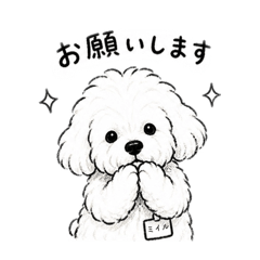 miiru puppy