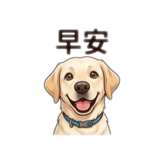 拉布拉多暖心系列