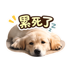 阿米樂樂