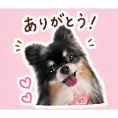 kumako's stamp