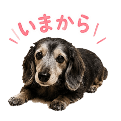 yu_20260603184648