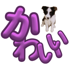 kana_20260603191634