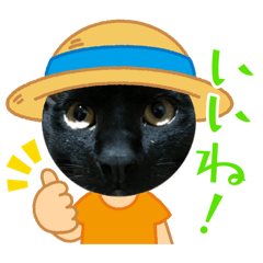 Noriko1984