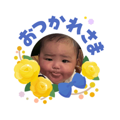 shiba_20260603203517