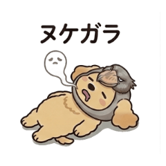 Dappooda1001_20260603203442