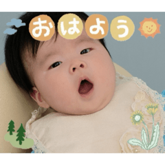 Sena_20260603203845
