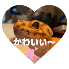 kanapuku_20260603204713