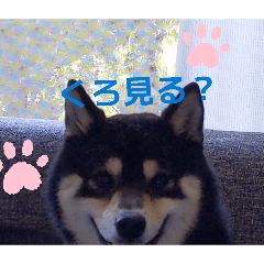 S11_20260603205155