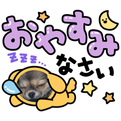 Ty_20260603205022