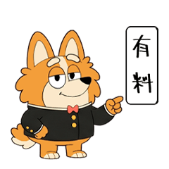 Dog High School Corgi Afu