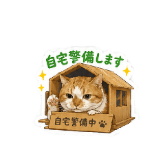 miha_20260603000534
