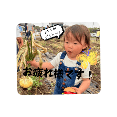 Y.A_20260603152535