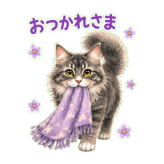 Hana_20260603163315