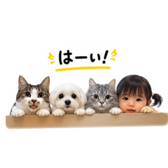 aika_20260603162607