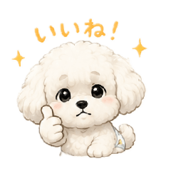 Rui_20260603171959